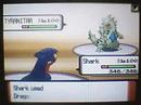 pokemon-pearl-wifi-battle-vs-aon.html