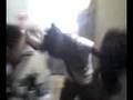 Las come espaguetis