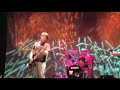 The Late Show - Freebird(cover live preformance)