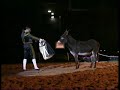 Cabaret Equestre Flamenco!