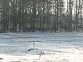 niewodnica3