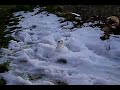 Il Piccolo Tenero Pupazzo di Neve