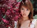 Re: Asian Women Are Beautiful