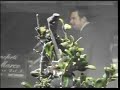 Petar Grašo - Utorak