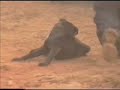 teknival spagna 2000 (2)