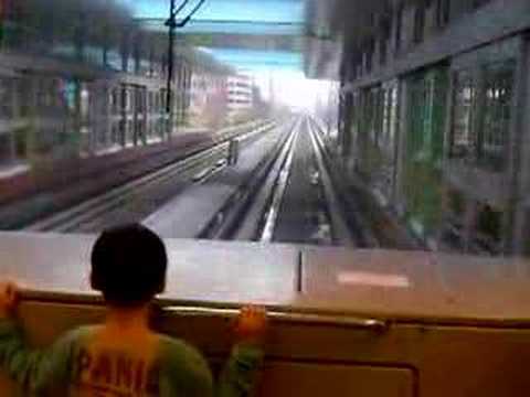 綠營台北大遊行出發前316