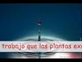 10 Consejos para ahorrar Agua