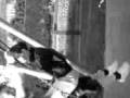 videos de Gay (L).3gp