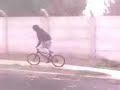 trailer new video tean bmx san pablo