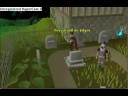 kleiner dinoo runescape kleiner dinoo runescape