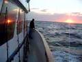 Shark-Fishin-Boat-Ri