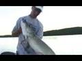 Big Muskie Release - www.badfishoutdoors.net