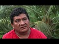 Un Bosque Para la VIiida. Manejo forestal en la Comarca Emberá Wounaan