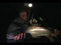 Fly Fishing at Night
