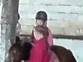 Zack and the Gealls trotting 24-07-08