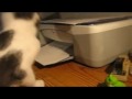 zoey-and-the-printer.html
