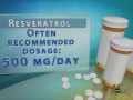 Buy Resveratrol Supplements
