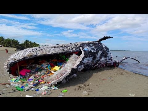 Most SHOCKING Facts About Plastic!
