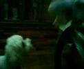 ??&??-1 ??&??-1