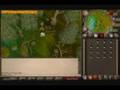 videos de How To Get Whiteberries - Runescape Money Guide
