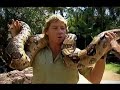 Steve Irwin crocodile hunter Dead (Rip)