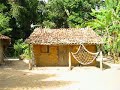 role em caravelas e abrolhos  bahia