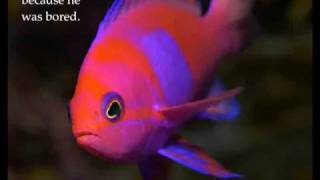 Ogni bambino ha il suo talento