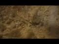 Lutje - Shehid Dr. Mustafa �amran