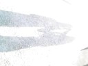 Sombras 1
