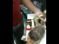 hedgehog shennanigans