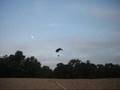 Ultra Lite Gliders over Iowa Beach