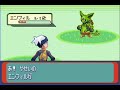 合成ポケモン　エンフィル