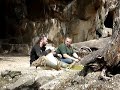 KNUT the polar bear chillin w his trainer KNUT the polar bear chillin w his trainer