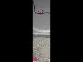 break water Balloon EX-F1 1200fps