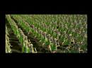 RomeTotalWar