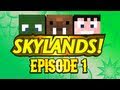 Hatventures - Skylands 1