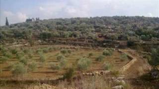 طبيعة نزلة عيسى طبيعة نزلة عيسى