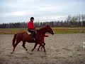Lisas hästhoppning