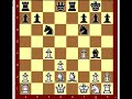 Tarrasch #117