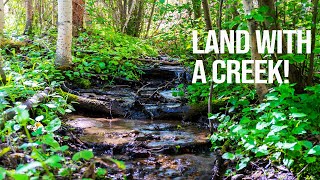 39 Properties | Check out the Creek!