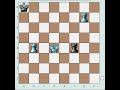 The longest mate Rook + Rook vs Queen + Rook The longest mate Rook + Rook vs Queen + Rook