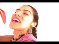 La Cumbia del Mole