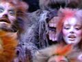 Original Broadway Cats