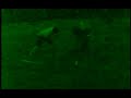 Shanes Revenge (sorry no sound)