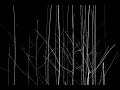 generative screening 14400