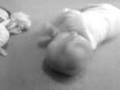 videos de Baby Niamh - beat up the dolly (video #2)