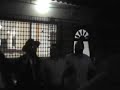 Hashem matir Asurím -canto y danza jasídica en Barranquilla