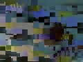 Thumbnail #3
