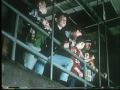 Ver Video