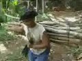 Gula Kelapa pacitan Gula Kelapa pacitan